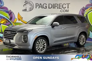 2020 Hyundai Palisade Image