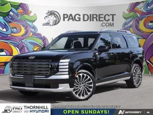 2026 Hyundai Palisade Image