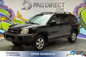 2005 Hyundai Santa Fe Image