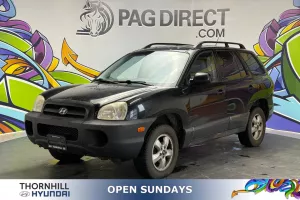2005 Hyundai Santa Fe Image