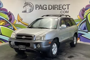 2006 Hyundai Santa Fe Image