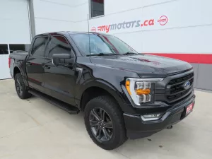 2021 Ford F-150 Image