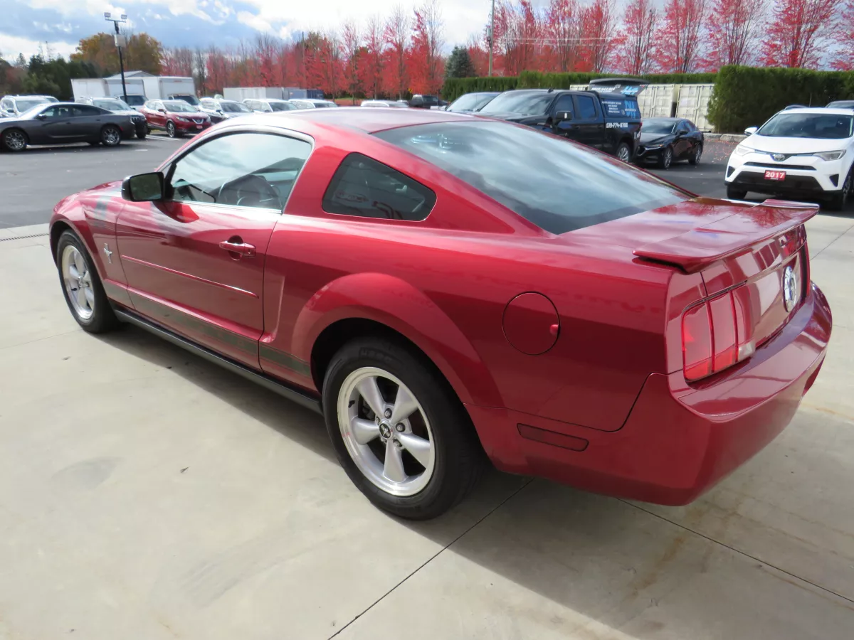 2007 Ford Mustang : 3 2007 Ford Mustang