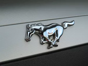 2007 Ford Mustang : 20 2007 Ford Mustang