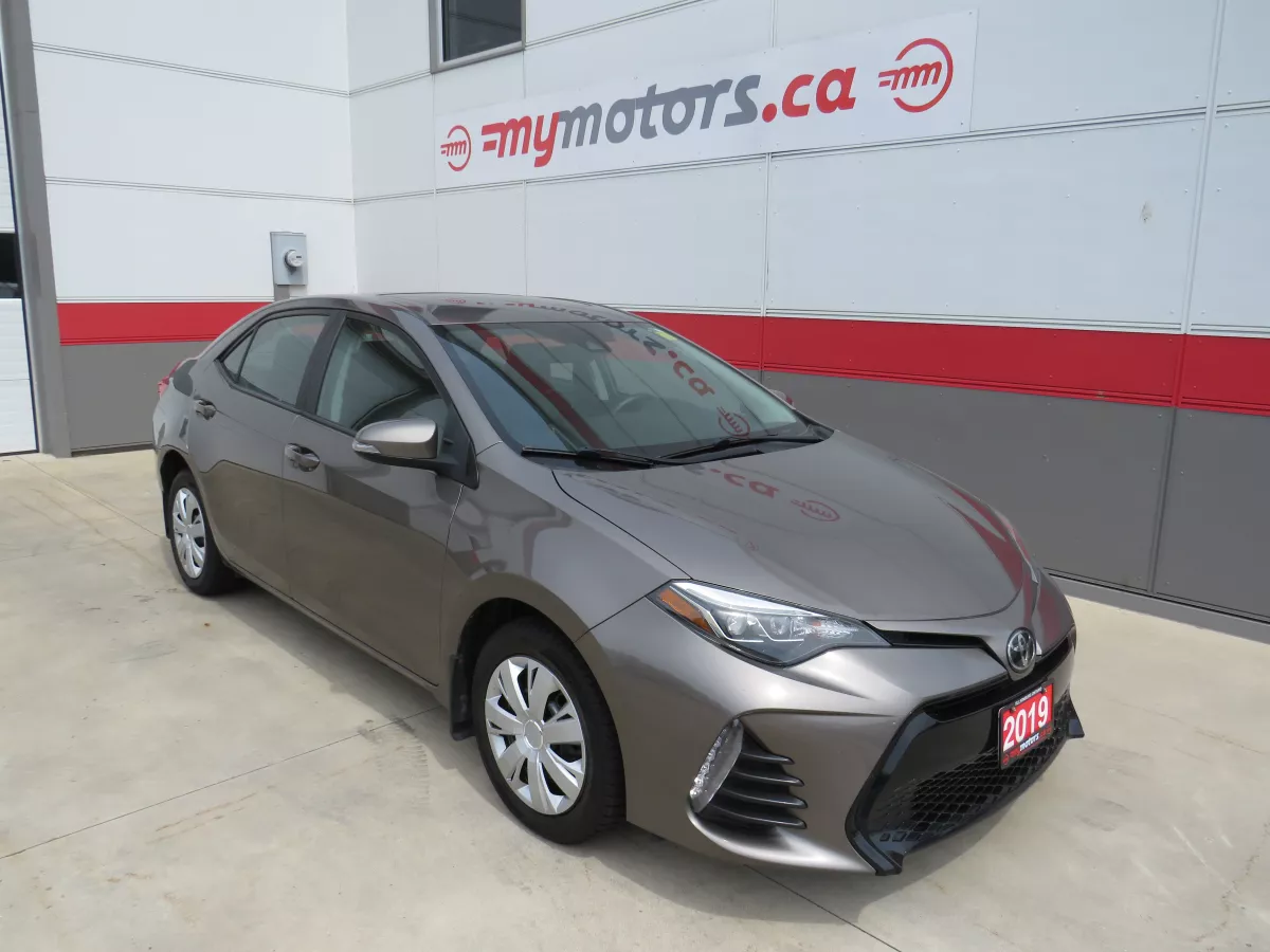 2019 Toyota Corolla Image