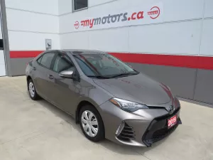 2019 Toyota Corolla Image