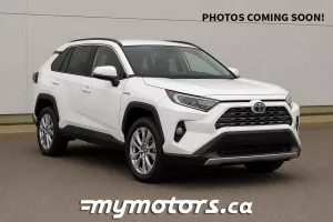 2019 Toyota RAV4 Image