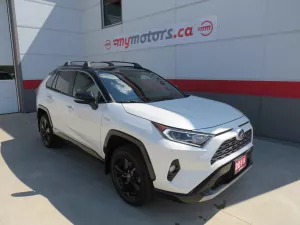 2019 Toyota RAV4 Image