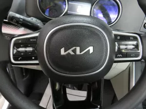 2024 Kia Carnival