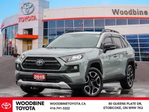 2019 Toyota RAV4 Image