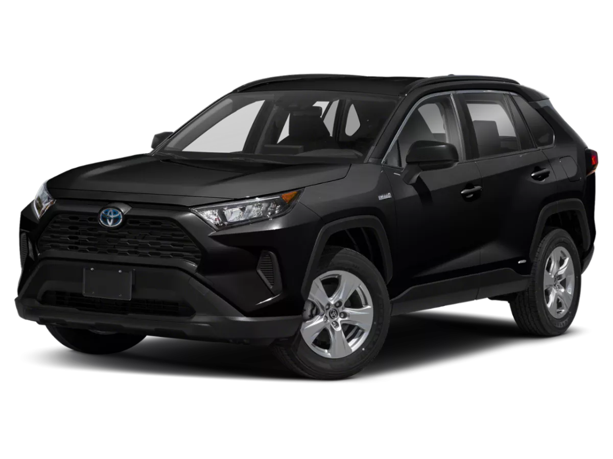 2020 Toyota RAV4 Image